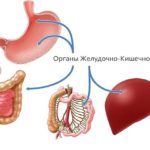 В качестве побочного действия возможны нарушения работы органов желудочно-кишечного тракта