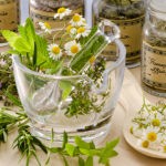 Травяные отвары из чабреца, ромашки, тысячелистника полезно заваривать и принимать в течение дня