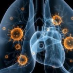 Бактерии, вызывающие бронхит, размножаются наиболее эффективно при температуре 37...38°C, так как это нормальная температура слизистых оболочек, включая дыхательные пути