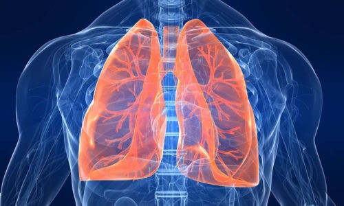 Острый бронхит - широко распространенное заболевание органов дыхания