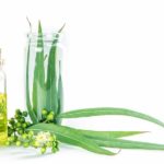 Эвкалипт для приготовления отвара для ингаляции