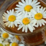 Ромашка - отличное средство при бронхите