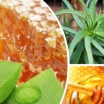 При бронхите рекомендовано употреблять целебную смесь, приготовленную из 5 ст. л. сока растения и 1 ст. л. меда