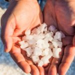 Одним из полезных свойств черной редьки является содержание минеральных солей