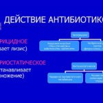 Цель терапии антибиотиками - устранение возбудителя, вызвавшего обострение болезни