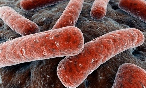 Метронидазол действует относительно микробов гарднереллы