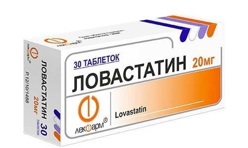 Ловастатин усиливает разрушение мышечных клеток, если принимать его вместе с Эритромицином