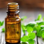 Масло мяты является одним из наиболее безопасных при лечении бронхита