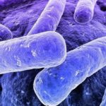 Главной причиной развития бронхита являются различные инфекционные агенты: бактерии, вирусы и грибки