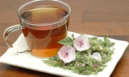 Чай от бронхита - безопасное средство для снятия воспаления, облегчения дыхания, усиления потоотделения и повышения иммунитета