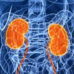 Длительность полувыведения - от 2 до 2,5 часов. За его выведение отвечают почки. В меньшей степени медикамент выводится вместе с желчью