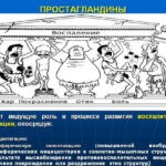 Фармакодинамика медикамента объясняется замедлением выработки простагландинов - провокаторов воспалений, боли и гипертермических состояний