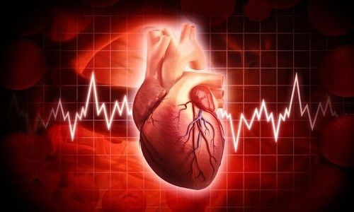 Лекарство усиливает действие катехоламинов на сердце - увеличивает силу сокращения и выброс, частоту сердцебиения