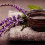 Успокоить кашель и снизить температуру может отвар шалфея на молоке