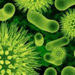 Причиной бронхита у беременных может стать бактериальная, вирусная, грибковая инфекция